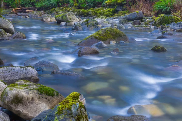 Rocas y agua fluyendo en Holland Creek trail en Ladysmith, Van —  Fotos de Stock