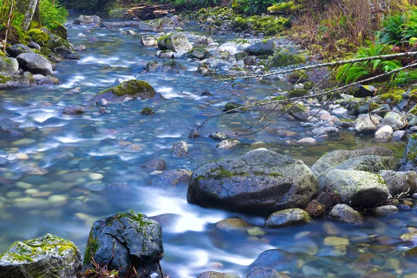 Ladysmith, Van Holland Creek iz akan su ve kaya — Stok fotoğraf