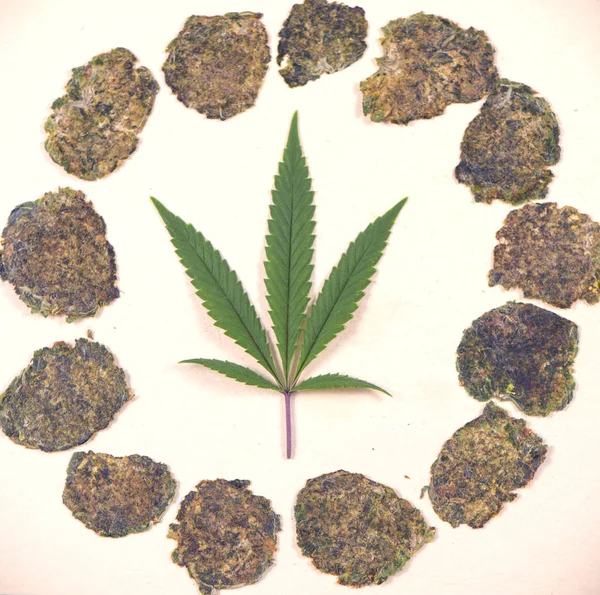 Cannabis leaf isolerade över vit bakgrund med nymalen sqeeze — Stockfoto