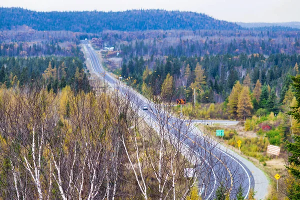 白桦树俯瞰横加公司高速公路从镇 — 图库照片