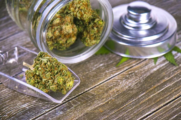 Cannabisknospen (Pfadfindermeisterstamm) auf Glasgefäß über Holzrücken — Stockfoto