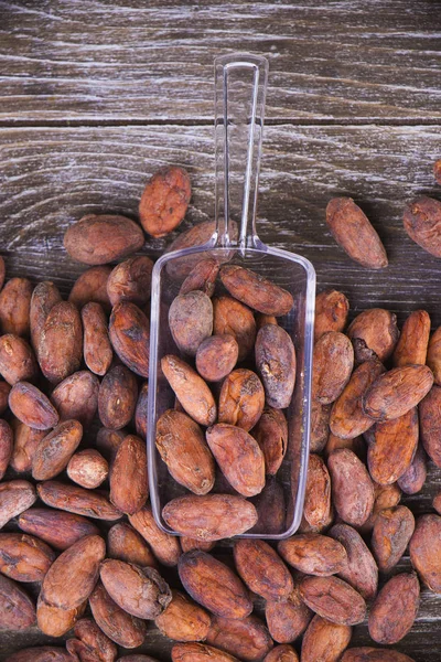 Cacao beans with scooper over wood background — Stock Photo, Image