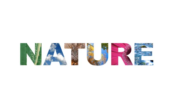 Logotipo letras palavra Natureza - isolado sobre branco — Fotografia de Stock