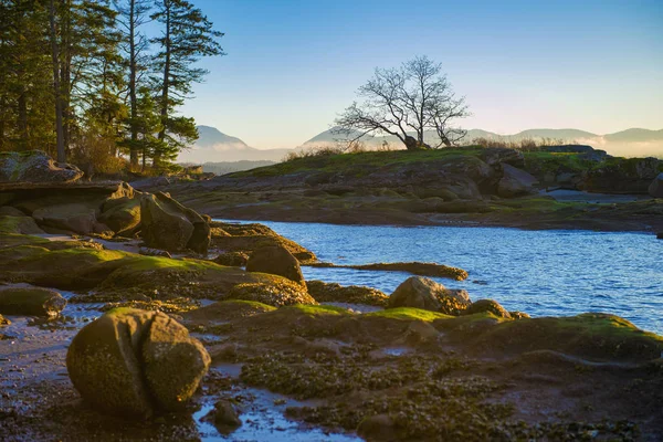 Schilderachtig uitzicht op de oceaan met uitzicht op de baai van Nanaimo in s. — Stockfoto