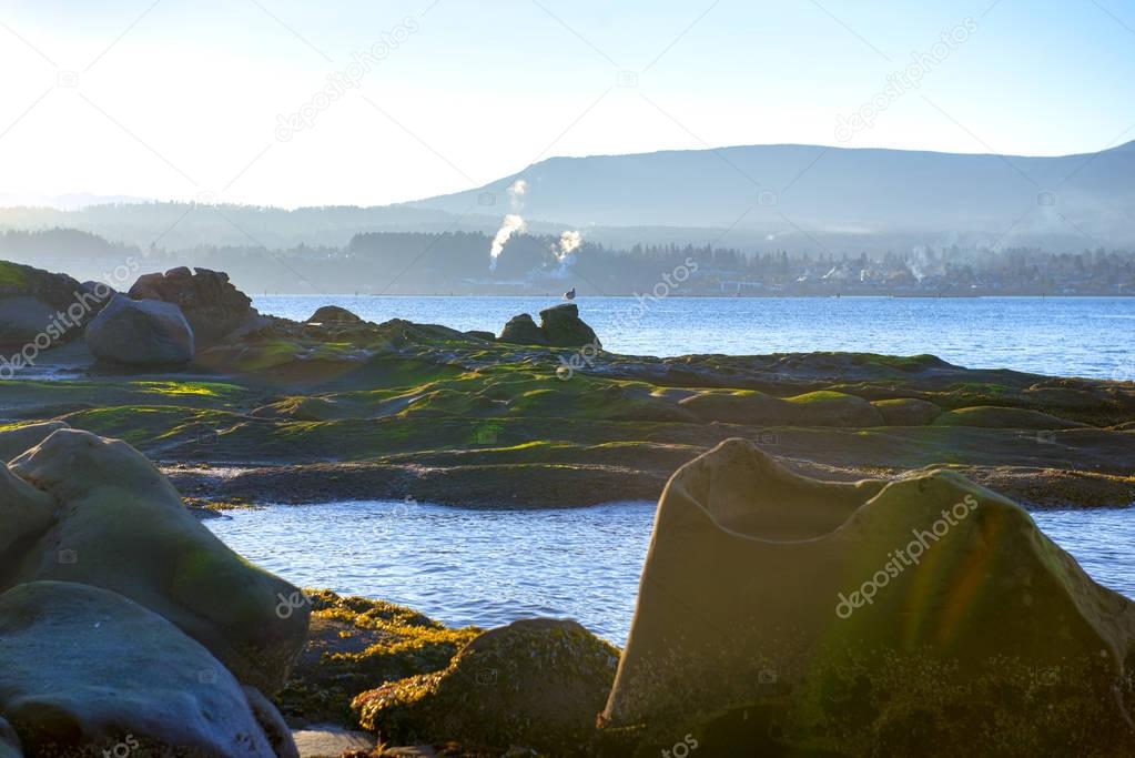 Scenic view of the ocean overlooking the bay of Nanaimo in Vanco