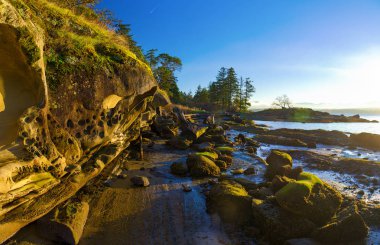 Doğa Manzaralı panoramik okyanus ve Jack noktası ve Biggs Park
