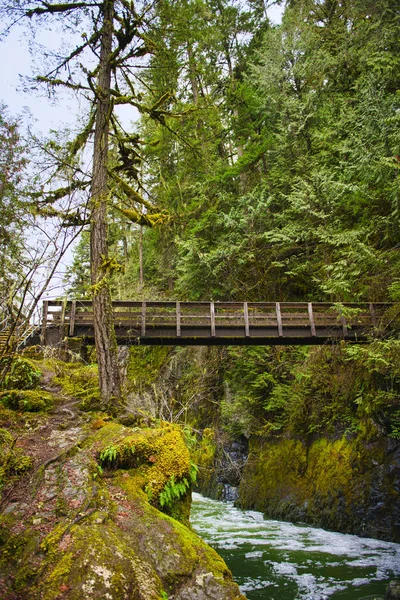 Englishman River Falls upper waterfalls section located in Vanco — Stock Photo, Image