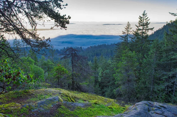 Kabut pagi dari puncak gunung di Ladysmith, Vancouver — Stok Foto