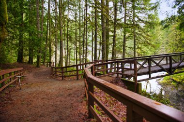 İngiliz River Falls Vancouver Isla de üzerinde köprü görünümü