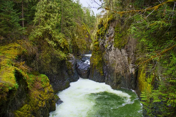 Quedas do Rio Englishman seção de cachoeiras inferiores em Vancouver Isl — Fotografia de Stock
