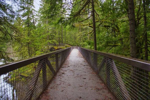 Pohled z mostu přes Angličan River Falls ve Vancouveru Isla — Stock fotografie