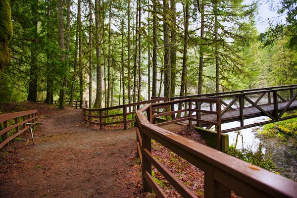 Utsikt over brua over engelskmannen River Falls i Vancouver Isla – stockfoto