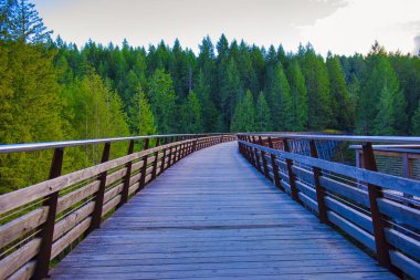 Kinsol sehpa ahşap Demiryolu Köprüsü Vancouver Adası, Bc Kanada görünümünü.
