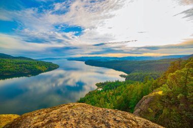 Vancouver Adası, British Columbia 'daki Maple Bay' deki ağaçların, okyanusun ve kıyı şeridinin manzarası.