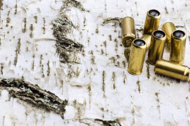 Tahta arka planda travmatik bir silah için sekiz mermi.