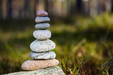 Piramit taşları ormandaki bir kütük üzerinde dengelenir. Nesne odaklı, arkaplan bulanık.