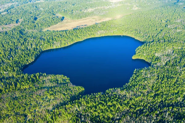 Hermoso Lago Azul Bosque Verde Vista Aérea Fotos de stock