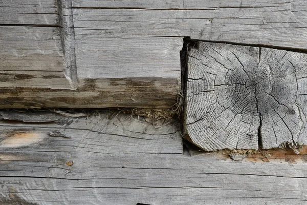 Bild Eines Teils Der Hauswand Aus Baumstämmen Alter Getrockneter Baumstamm — Stockfoto
