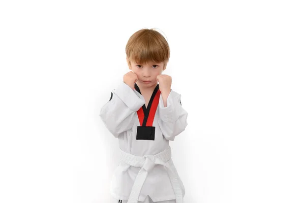 A small European-looking boy is engaged in martial arts taekwondo. Medium portrait on a white isolated background.