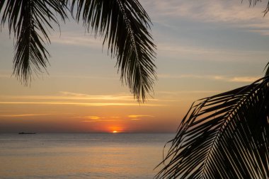 Tropik iklimlerde gün batımı. Güneş denize batar. Ön planda palmiye yaprakları.