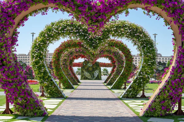 Jardin Miracle Dubaï Couloir Arcs Floraux Forme Cœur Fleurs Violettes Image En Vente