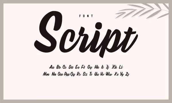 Handgeschreven Kalligrafisch Alfabet Penseel Lettertype Script — Stockvector