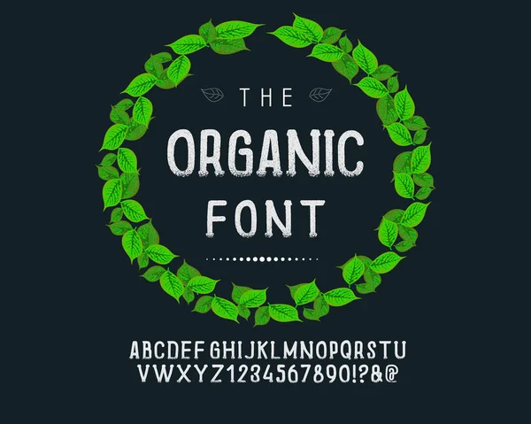 Hand Drawn Rustic Farm Fresh Vector Typeface Dalam Bahasa Inggris - Stok Vektor