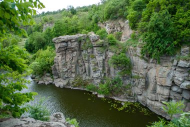 Beyaz arka planda beyaz kiraz çiçekleri