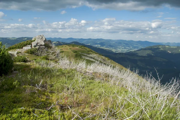 Yazın Karpatyalı manzarası