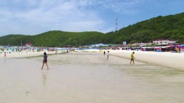 Deniz, büyük sahil, yüksek yeşil dağlar. Panorama