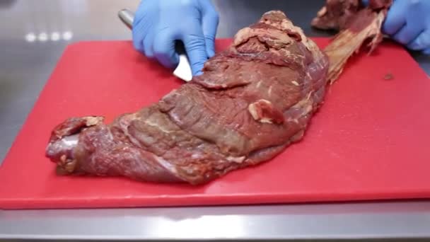 Cozinhe Luvas Azuis Corta Carne Crua Uma Tábua Corte Vermelha — Vídeo de Stock