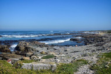 Cape Town Güney Afrika 'daki Robben Adası' nda okyanus