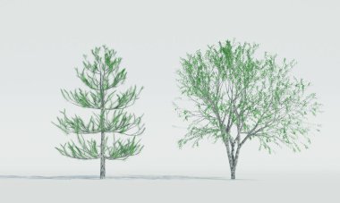 Beyaz arkaplanda yaprak döken bir ağaç var. 3B Hazırlama.