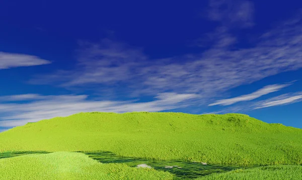 ciel bleu soleil et herbe verte - paysage vert - prairie