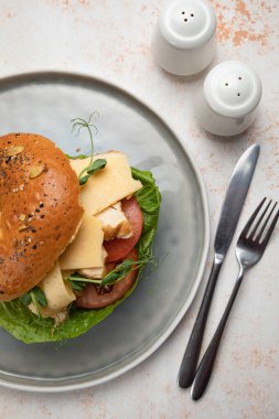 Peynirli, domatesli, soslu sulu hamburger.