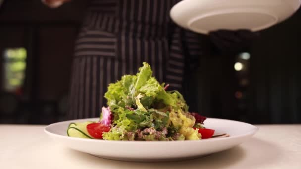 Chef Prepares Salad Meat Herbs — Stock Video