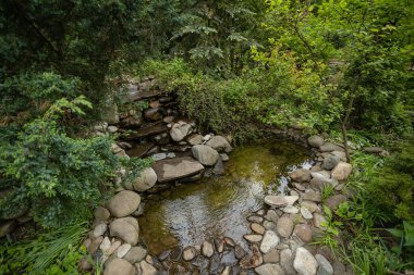 Bahçe düzenleme. Parkın ortasındaki yeşil bitkiler, patikalar.