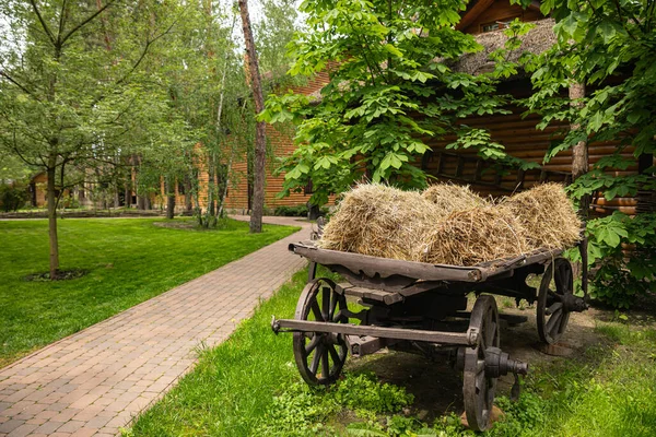 19世纪的乌克兰人推车 院子中央有稻草 — 图库照片