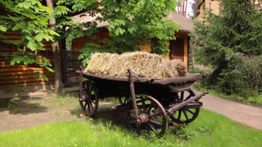 Parkta duran 18 yüzyılın Ukrayna uyruklu arabası