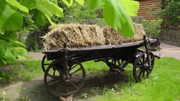 Parkta Duran Yüzyılın Ukrayna Uyruklu Arabası — Stok video