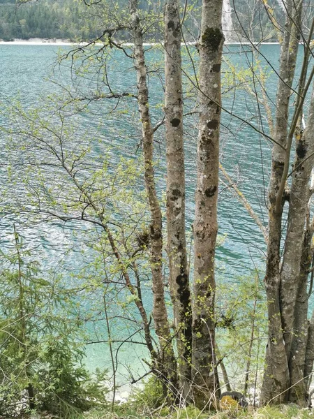 Λίμνη Achensee Αυστρία Κρυστάλλινο Διάφανο Νερό Δημιουργεί Την Ψευδαίσθηση Του — Φωτογραφία Αρχείου