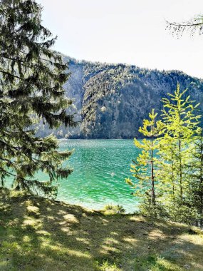 Doğal park alanı. Avusturya. Ziller Vadisindeki Achensee Gölü.