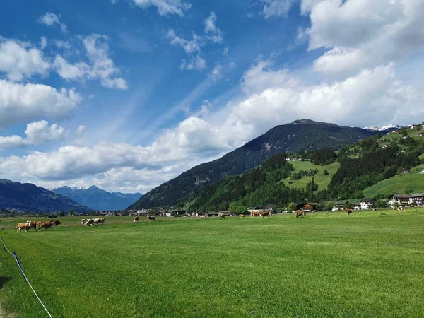 Avusturya Alpleri Ziller Vadisi Ndeki Köy — Stok fotoğraf