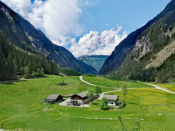 Avusturya Dağ Otlakları Doğal Park Alanı — Stok fotoğraf