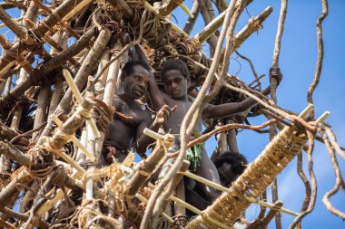 Pentecost pentercost adası Vanuatu - 2019: Geleneksel Melanezya Nagol toprak dalış seremonisi (Ahşap kulelerden sarmaşıklarla atlayan adamlar). Başlatma