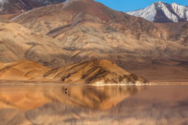 Sakin Moğol gölündeki ayna yansıması. Rüzgarsız sabah ışığı. Batı Moğolistan