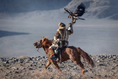 Kazak Berkut Batı Moğolistan Altın Kartal Festivali atını avlıyor