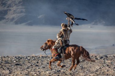 Kazak Berkut Batı Moğolistan Altın Kartal Festivali atını avlıyor