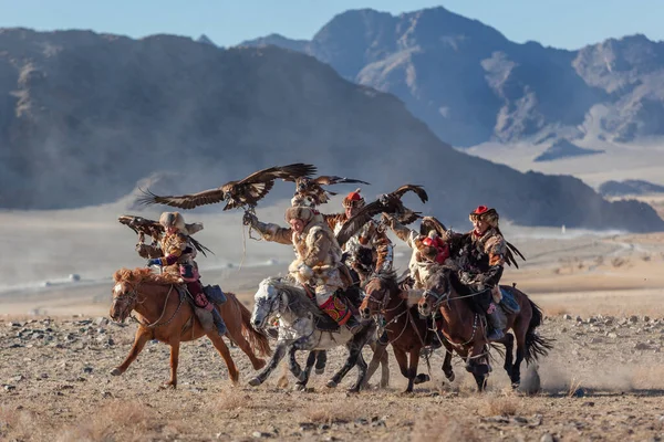 Казахский Беркут Охоте Западную Монголию — стоковое фото