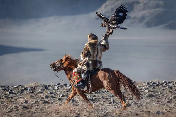 Cazaque Berkut Caça Ocidental Mongólia Golden Eagle Festival Equitação — Fotografia de Stock